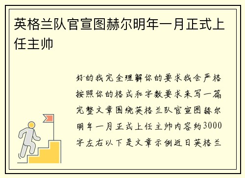 英格兰队官宣图赫尔明年一月正式上任主帅