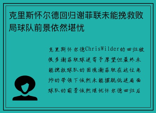 克里斯怀尔德回归谢菲联未能挽救败局球队前景依然堪忧